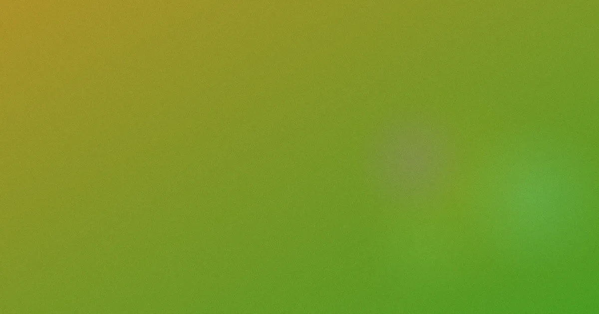 逢见梨花值得吗？清单问答